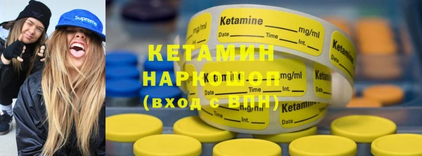 сатива Аркадак