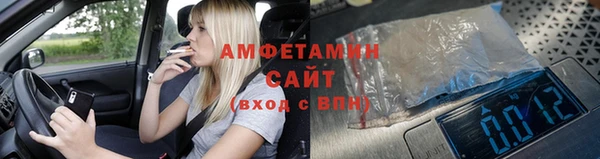 сатива Аркадак