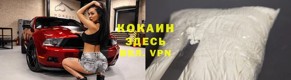 сатива Аркадак