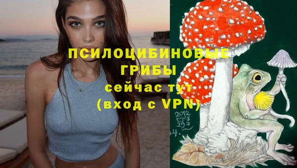 кокс Арсеньев