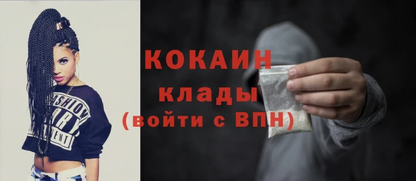 кокс Арсеньев