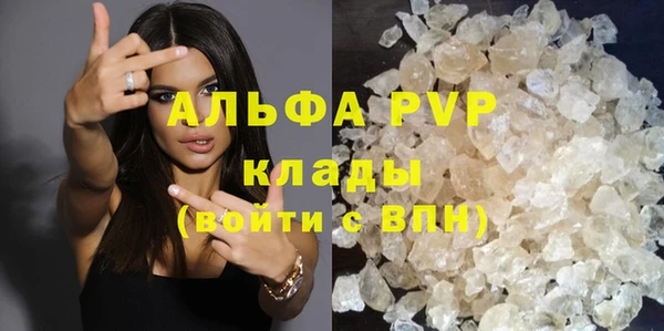 сатива Аркадак