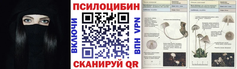 Псилоцибиновые грибы Cubensis  Пустошка 